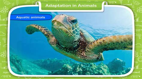 Adaptation In Animals Grade 4