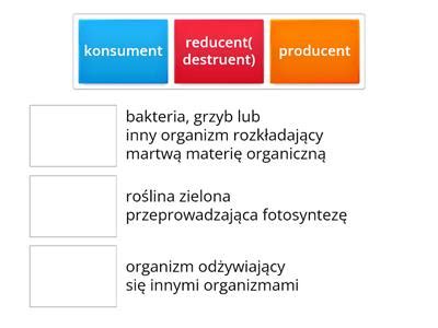 Biologia Poziomy budowy organizmów Materiały dydaktyczne