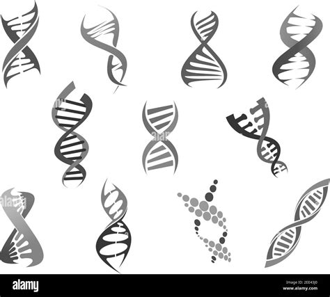 Dna Helix Or Gene And Genetic Molecule Icons Set Deoxyribonucleic Acid