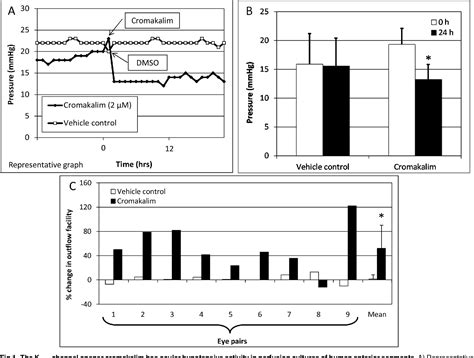 Figure 1 From Ocular Hypotensive Effects Of The ATP Sensitive Potassium