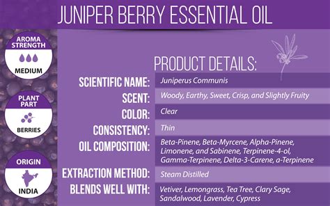 Juniper Berry Essential Oil I Uses, Benefits & Blends | VINEVIDA