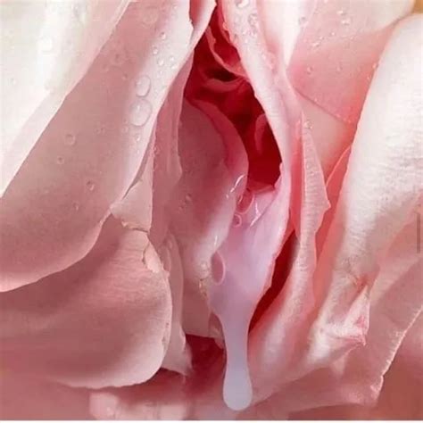 Sensual Nipple Lick Hand Job Cum Amateur Porn Xhamster