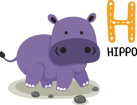 Illustration Isolated Animal Alphabet Letter H Hippo 10511963 Vector