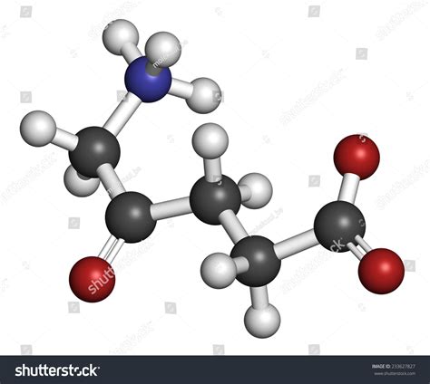 Delta Aminolevulinic Acid Royalty-Free Images, Stock Photos & Pictures ...