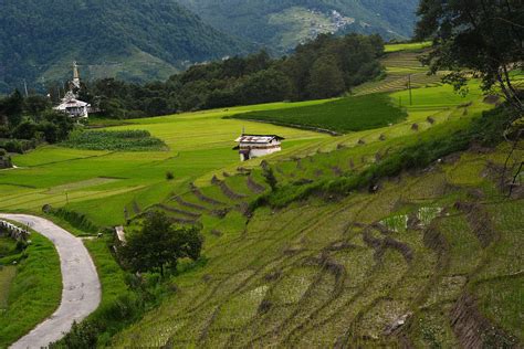 Ziro Arunachals Paradise Destination Thetravelshots