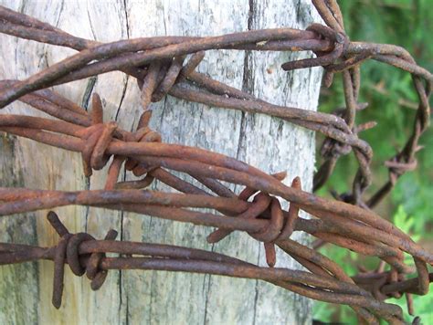 Barbed Wire Vintage Rustic Barbed Wire Fence Barbed Wire