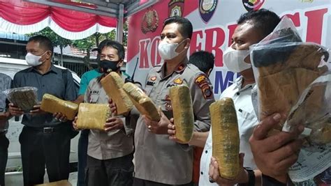 Menyamar Jadi Pembeli Perwira Polisi Tangkap Pengedar Ganja Di Deliserdang