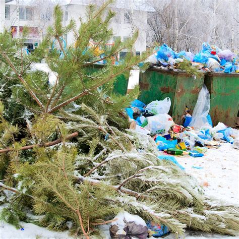 What A Christmas Waste Government Urged To Get Tough On Packaging As