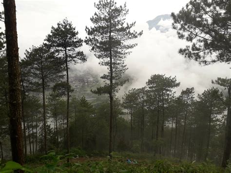 Explore Gunung Andong Yang Ramah Bagi Pendaki Pemula