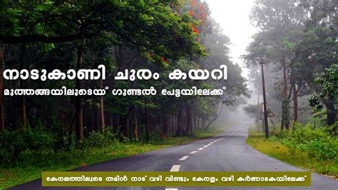 Nadukani To Gundlepet Vai Muthanga A Journey Through Muthanga