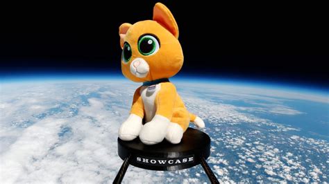 Buzz Lightyears Companion Cat Sox Launched Into Space To Highlight New