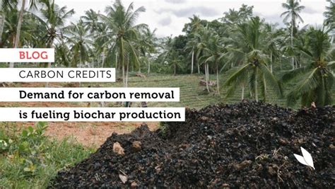 Biochar Production Planboo