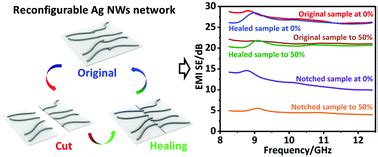 An Autonomously Ultrafast Self Healing Highly Colourless Tear