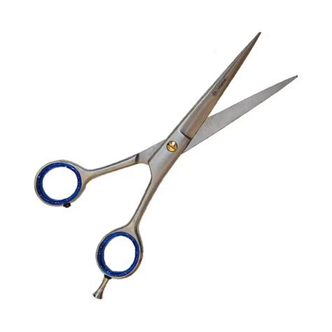 Buy DANIAL Professional Salon Hair Barber Stainless Steel Scissor Size