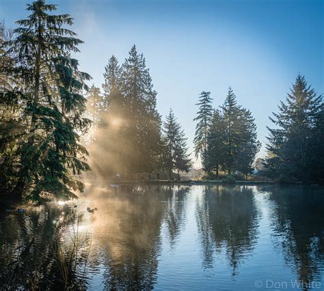 Lower Pond Central Park Burnaby Don White Burnaby Flickr