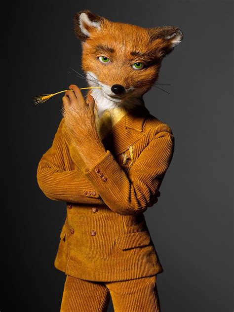 Fantastic Mr Fox Characters