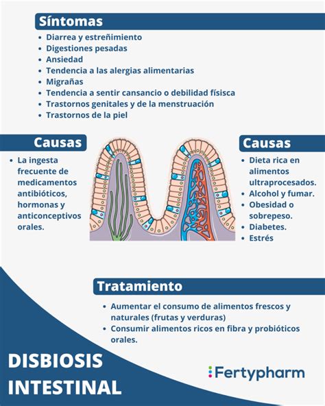 Disbiosis Intestinal Qu Es Y Su Tratamiento Fertypharm