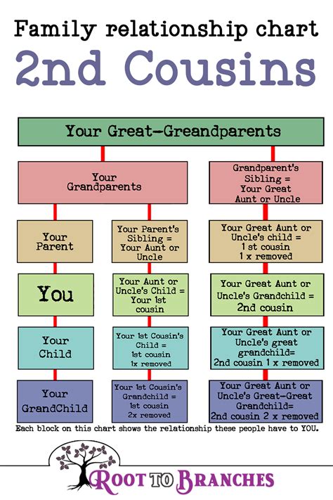 How To Determine First And Second Cousins