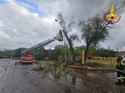 Maltempo In Ore Oltre Interventi Per Alberi Caduti A Rieti E