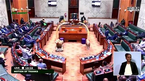 National Assembly Of Zambia Live Stream Youtube