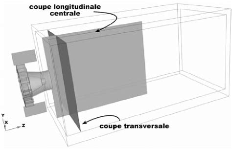 5 Définition des plans de coupes longitudinale et transversale pour la