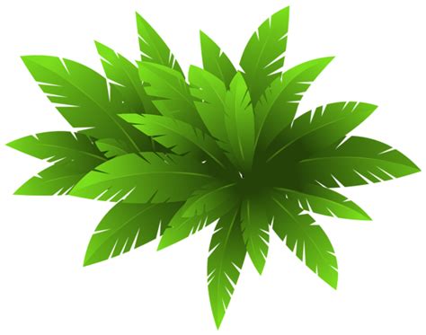 Green Plant Decoration PNG Clipart Image | Plant clips, Green plants ...