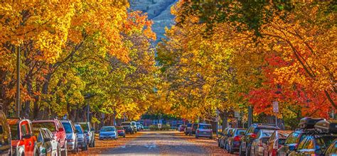 Fall Colors In Missoula Destination Missoula