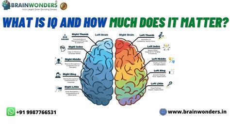 What Is Iq And How Much Does It Matter Brainwonders