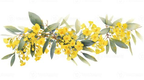 Beautiful Depiction of Australias National Flower The Golden Wattle Generative AI 29987695 Stock ...