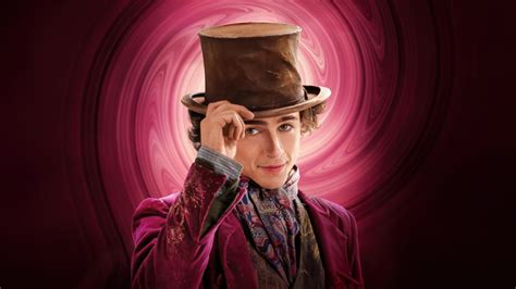 2560x1440 Timothee Chalamet As Willy Wonka 5k 1440P Resolution HD 4k ...