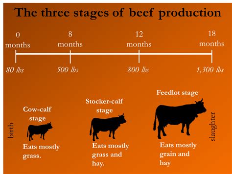 Understanding Modern Agriculture Uma Part A Lecture 12