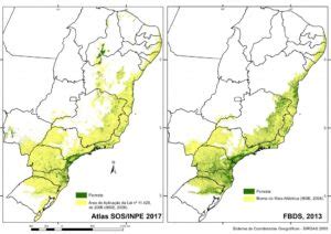 Mata atlântica saiba tudo sobre esse importante bioma