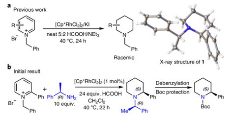 Similar to biosynthesis! Scientists discover a new method of chiral piperidine synthesis - The ...