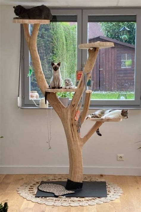 Arbre A Chat Maison Bois Ventana Blog