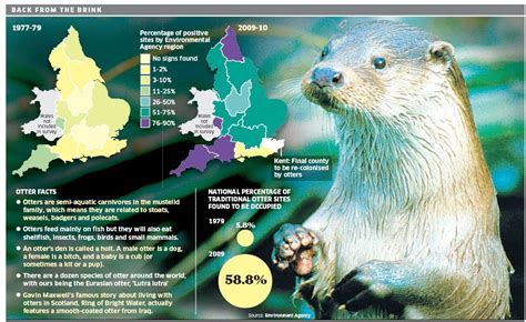 British Otters Learning From Dogs Otter Facts Otters Animals Wild