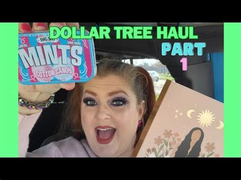 Amazing Dollar Tree Haul Wishlist February Youtube