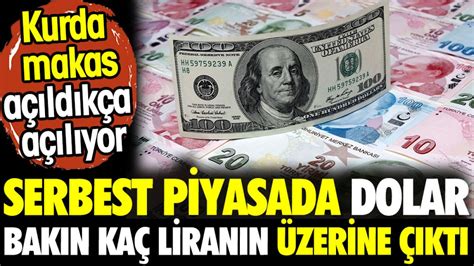 Serbest Piyasada Dolar Bak N Ka Liran N Zerine Kt