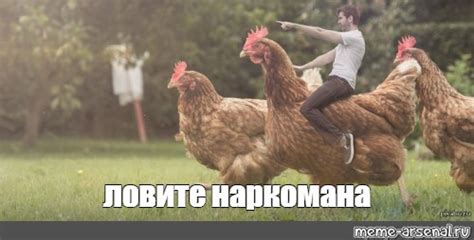 Meme: "ловите наркомана" - All Templates - Meme-arsenal.com