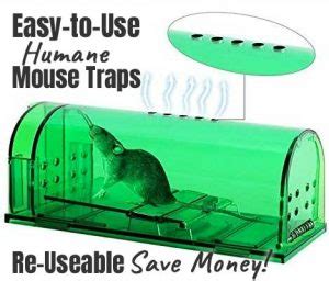 Humane Mouse Trap Review - Do They Work?