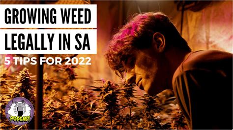 Tips To Grow Weed Legally In South Africa Youtube