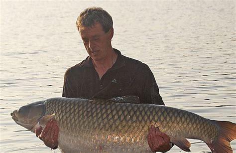 Grass Carp Is The Biggest Caught By An Angler In Britain