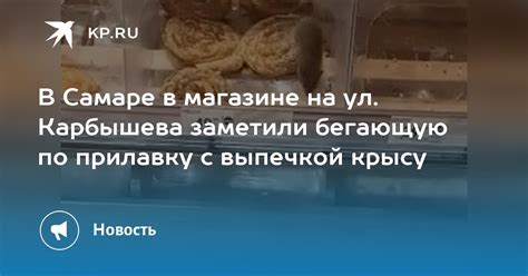 В Самаре в магазине на ул Карбышева заметили бегающую по прилавку с