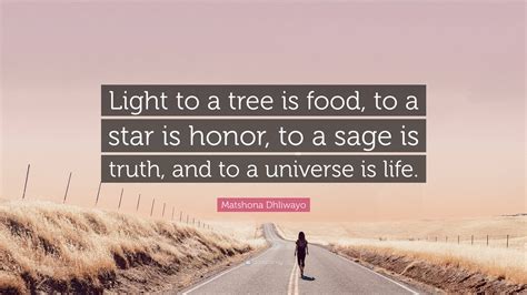 Matshona Dhliwayo Quote Light To A Tree Is Food To A Star Is Honor