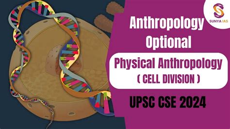 Physical Anthropology Cell Division Anthropology Optional Upsc