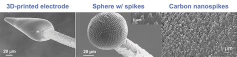 Webinar Novel Carbon Electrodes For Neurochemistry Ecs