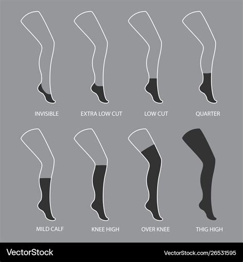 Types socks collection invisible extra low cut Vector Image