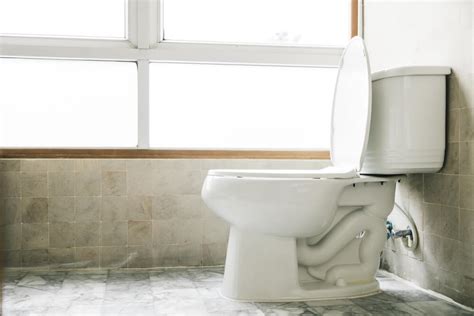 Best Raised Toilet Seats For Seniors And The Elderly Safer Toileting