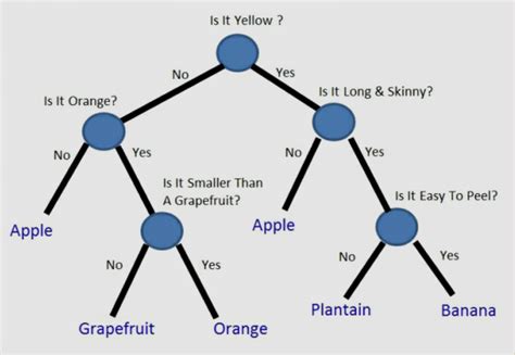 Decision Trees Cs 301