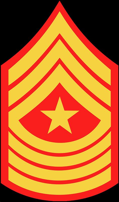 Usmc Marine E Sergeant Major Enlisted Marine Corp Marine Corp Rank