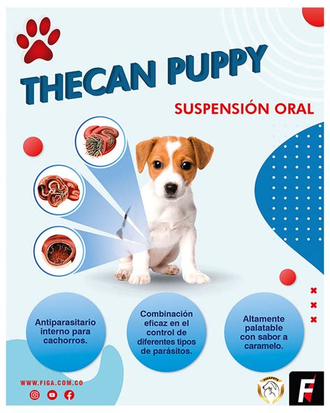 THECAN PUPPY Control Eficaz Para Cachorros Figa S A